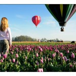 Dreamin' - Hot Air Balloon Rides